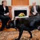 Путин ити үчүн Ангела Меркелден кечирим сураганын айтты