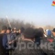 ЭЛДИК КАБАР: "Кадамжай районунун Бүргөндү айылында газ уурдагандар кармалышты" деп билдирди окурман