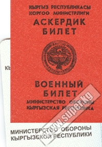 Жети-Өгүз районунда жарандарга альтернативдик кызмат өтөгөндүгү тууралуу аскердик билеттин берилиши боюнча кылмыш иши козголду