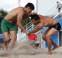 2015-жылы өлкөнүн 7 облусунун ичинен эң көп спорттук мелдештер Ысык-Көл облусунда уюштурулган