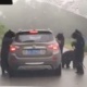 Кытайда 4 аюу жолдо бара жаткан унааны токтотуп, ичине кирүүгө аракет кылышкан