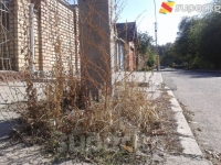 Көңүл бурулбай калган Эркиндик бульвары