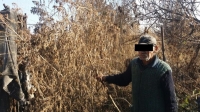 Аламүдүн районунда "үйүнүн короосунда кара куурай өстүргөн" деген шек менен 68 жаштагы жаран кармалды