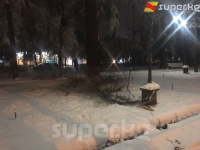 Эркиндик бульварында жүрүү кооптуу, дарактар кулап жатат