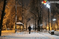 Ак карга чулганган кечки бульвар, борбор шаардын бактылуу тургундары (фото)