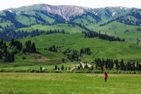 Жайыт департаменти 2016-жылы 130 миллион сомго жакын салык чогултуу аракетин көрүүдө