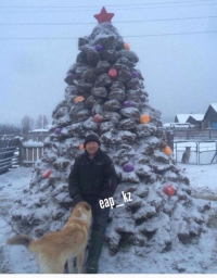 Казакстандын айылында көңдөн жасалып, кооздолгон жаңы жылдык балаты көпчүлүккө жакты (фото)