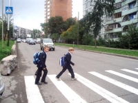 Депутат шашпай баскан жөө жүрүүчүлөргө нааразы
