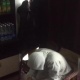 ЭЛДИК ВИДЕО: "Манас" аэропортунда 3 чай ичип, 3 токоч жейм десеңиз, 390 сом төлөйсүз!