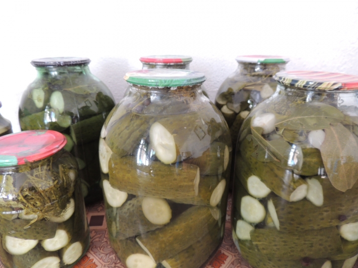 Күнөскана бадыраңынын өтүмдүүлүгү жакшы