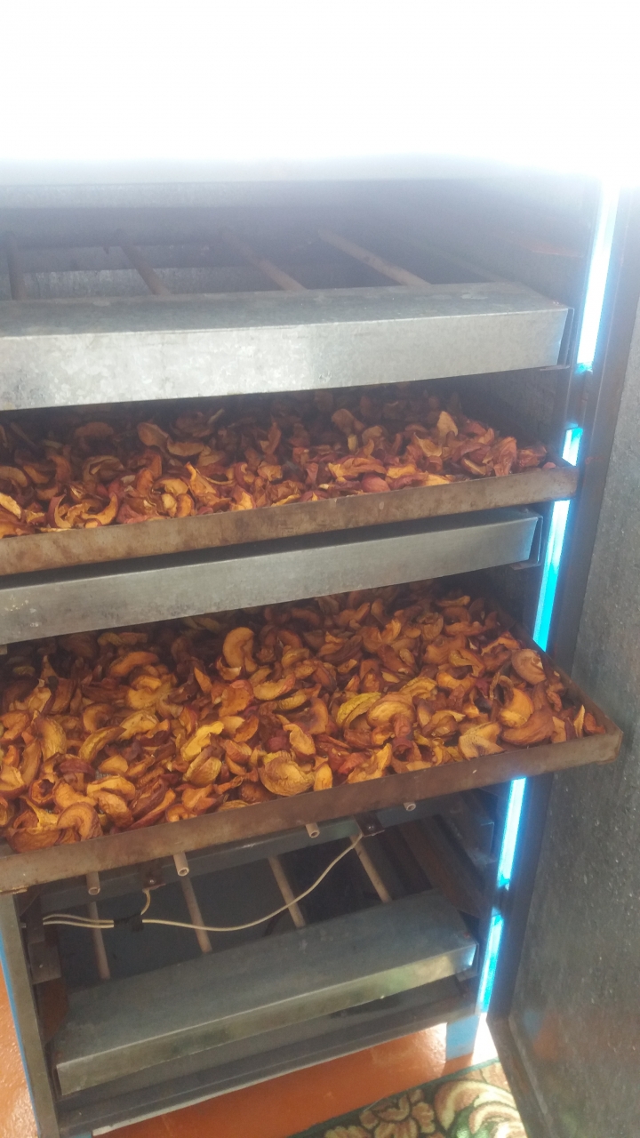 Кактар талапка ылайык кургатылат