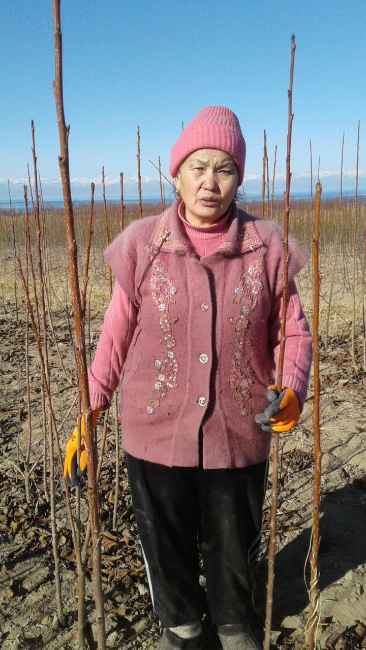 Рая Төлөгөнова