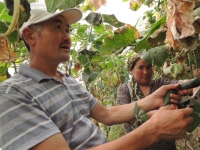 Бадыраң башка айылга да жетет