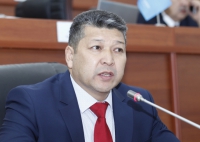 "Депутаттар жана министрлер отургузган көчөттөр көгөрбөй жатат" дейт депутат Жамалдинов
