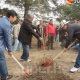 Бишкекте Алмазбек Атамбаевдин катышуусунда ишембилик башталды (фото)