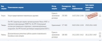 Каржы министри 16-мартта 230 миң сомдук тендерди мамлекеттик сатып алуулардын расмий сайтына жарыялаган кызматкерлерине сөгүш берди