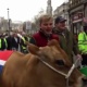 Лондондо койлор менен уйлар "митингге" чыгышты