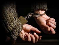 Бишкек шаарында тез тамактануучу жайды тоноого шектелген жаран кармалды