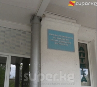 Аламүдүн районунда катуу ылдамдыкта келаткан унаанын айдоочусу мектеп окуучусун сүзүп, окуучу 29 метрге учуп барып кулаган, учурда абалы оор