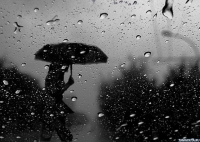 Өлкө аймагында 15-майга чейин катуу жамгыр жаашы күтүлөт