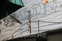 Нарында "12 жаштагы кызга карата ыплас аракеттерди жасаган" деп айыпталган жаран 20 жылга эркинен ажыратылды