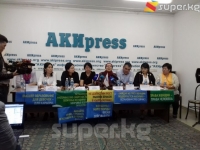 Жарандык активисттер "нике жашы жөнүндө мыйзам талаптарын бузган жарандарды жоопко тартуу" демилгесин колдобой койгон депутаттарга нааразы