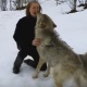 ЭЛДИК ВИДЕО: Карышкырлар менен да достошууга болот