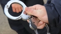Нарында 6 жаштагы кыздын өлүмүнө шектүү айдоочу кармалды