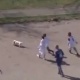 ЭЛДИК ВИДЕО: Тамашакөй спорттук баяндамачы менен футбол кызыктуу болот