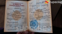 Тайырбек Сарпашев: "Өлкөдө мамлекеттик документтер кыргыз тилинде гана толтурулсун деген чектөө жок"