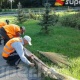 "Тазалык" ишканасы борбор калааны көрктөндүрүү иштерин улантууда