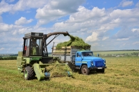 Чаткал районунда чөп оруп, таңгактоочу техникалар жетишсиз