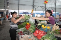Бишкектеги жашылча-жемиштердин базар наркы (фоторепортаж)