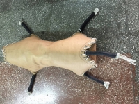 Көчмөндөр оюндарындагы көк бөрүдө улак эмес, муляж тартылат