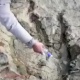 ЭЛДИК ВИДЕО: Боливияда чоң динозаврдын издерин табышты