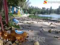 Бишкектеги Комсомол жана Пионер көлдөрүндө эс алуучуларга шарт түзүлгөн эмес