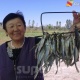 Ысык-Көлдө балык сатуучулар күн сайын 30га жакын балык сатып, 7 чакырым жол басышат (фото)