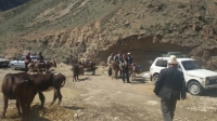 Зардалы айылына унаа каттамы ачылды 