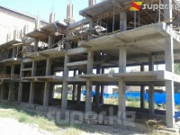 Мамэкотехинспекция куруу иштерин мыйзамсыз жүргүзүп жаткан компанияны сотко берди