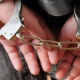 Өзбек ИИМи 4 кыргыз жаранын Өзбекстандын аймагында жүрүшкөндүктөн кармашканын айтышты