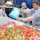Москвада 20 тоннадан ашуун грек салаты жасалып, рекорд коюлду (сүрөттөр)