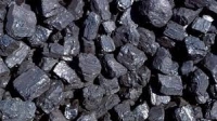 Бишкекте 4 миңден ашуун үй-бүлөгө акысыз көмүр таратылат