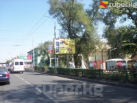 Бишкекте мамлекеттик тилде бир да сөзү жок коюлган жарнамалар бар