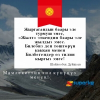 Акындардын тилге арналган ыр саптары: "Эне тилин эсирип чангандарды, Эне тилде ашатып сөккүм келет!"