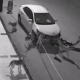 ЭЛДИК ВИДЕО: Түркияда иттер унааны "талкалап" кетишкен
