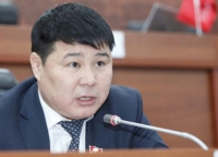 Парламенттик комитеттин отурумунда каралган маселелер депутат үчүн кызыксыз болду. Себеп - авиакырсык