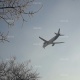 АСТ Airlines: "Боинг 747 учагында күйүүчү май жетиштүү көлөмдө болчу, ал Бишкекке жүк түшүргөнгө конмок"