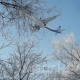 Транспорт жана жолдор министрлиги Боинг 747 учагынын Кыргыз өлкөсүнө жүк таштоого укугу болбогонун билдирди