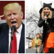 Америкада Дональд Трампка каршы "Аялдар жүрүшү" өтүп, ага дүйнөгө белгилүү жылдыздар катышты (фото)