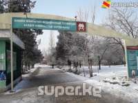 Дарыгер: "Авиакырсык болгон жерден ууланды делген 5 адамга так диагноз коюла элек"
